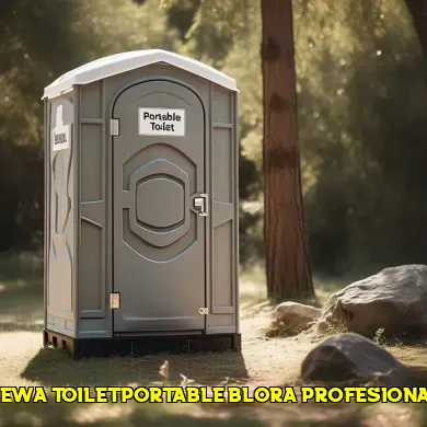 sewa toilet portable blora profesional